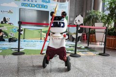 <b>都会经信局市新经济委组织的成都第二批机械人</b>