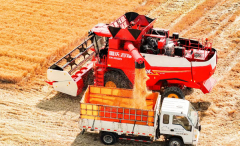 <b>AI大模子通过解遥感、无人机及物联网设备传回的</b>