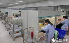 将保守需要数年的研期大幅压缩